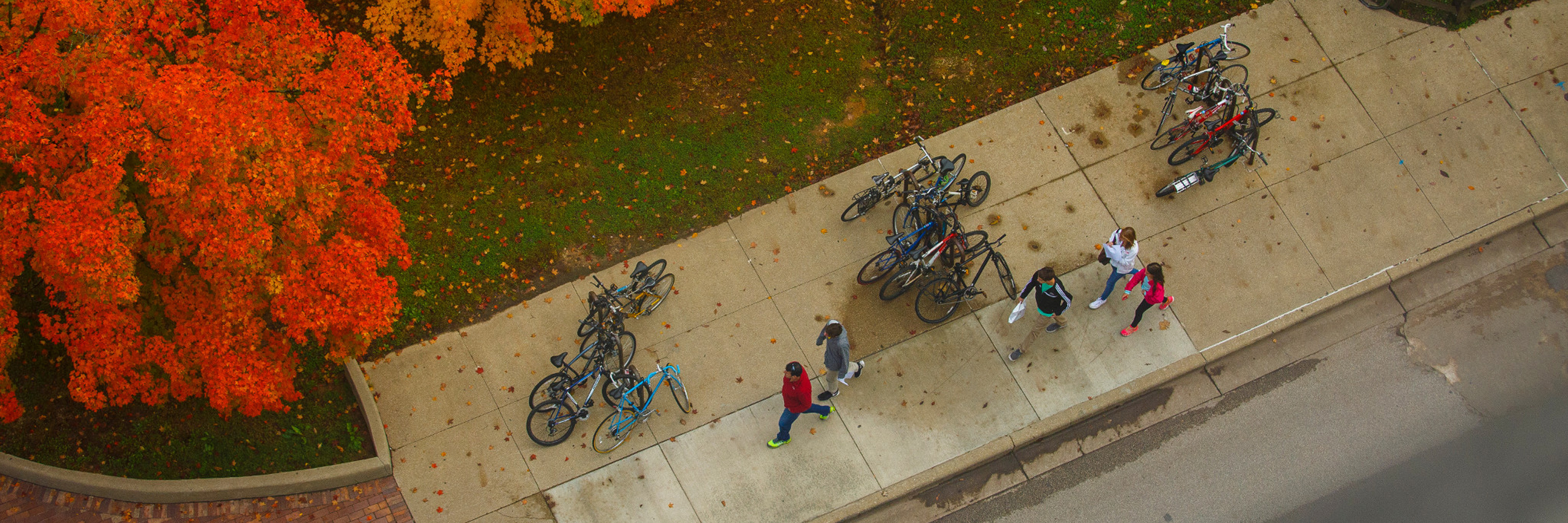 A look at a fall day on IU Campus