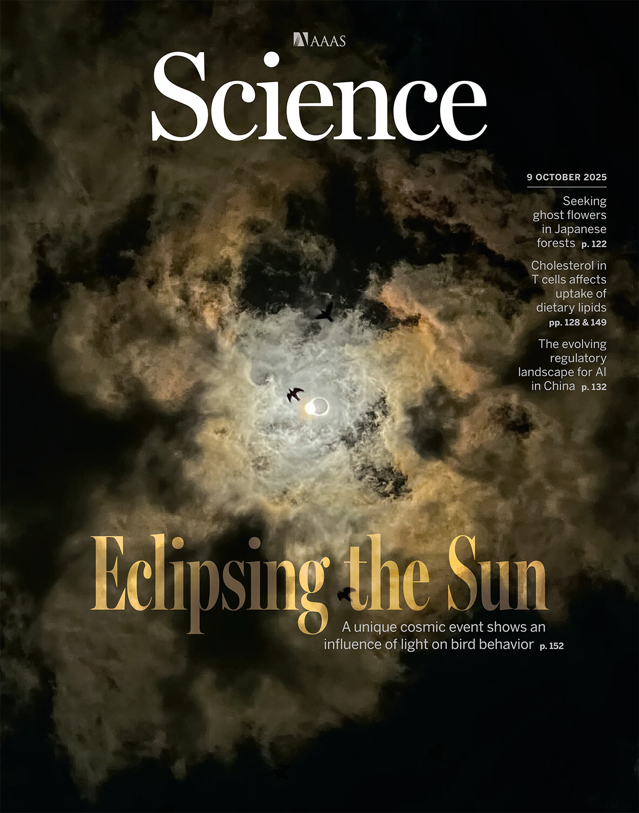 This text appears when someone is browsing using assistive technologies.